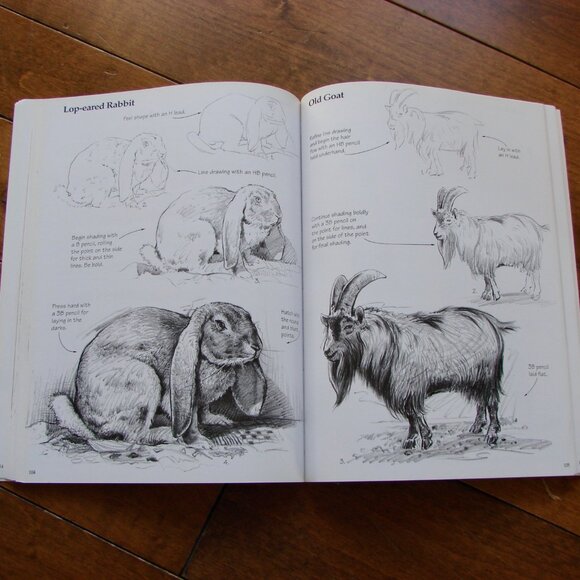 The Art of Pencil Drawing Gene Franks 2004 Techniques Still Life People Animals - Picture 6 of 8